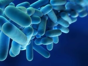 legionella-bacteria-legionella-risk-assessments(2)